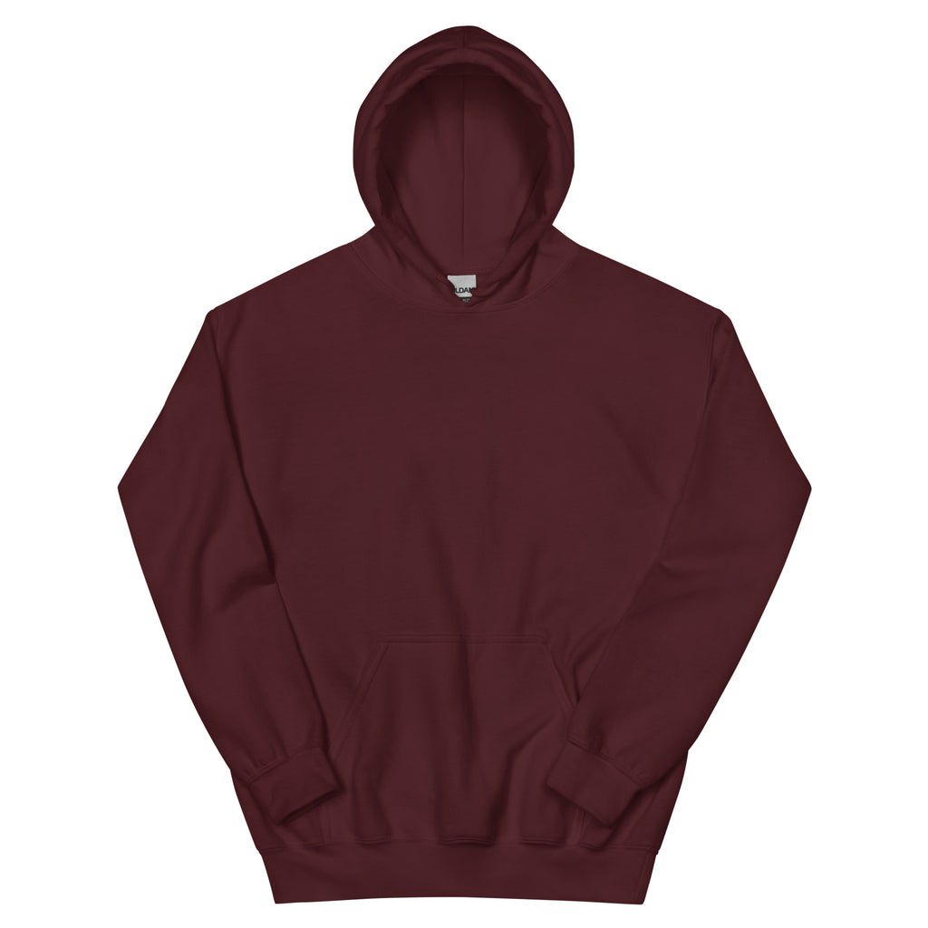 Holy vibes only - Cozy hoodie (7 colours)